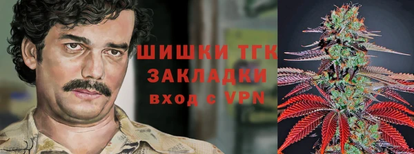 винт Арсеньев
